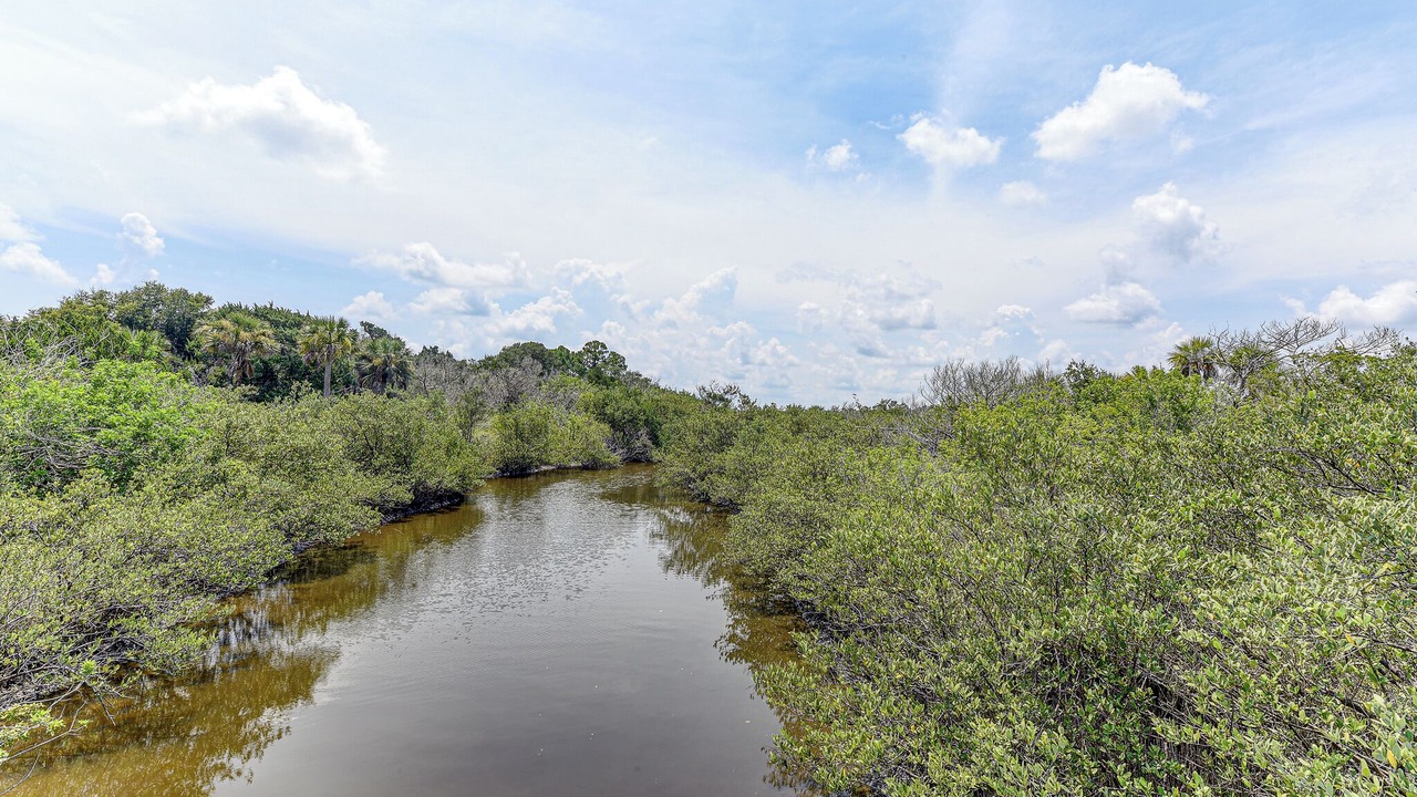 Photo of Others in Marineland Acres