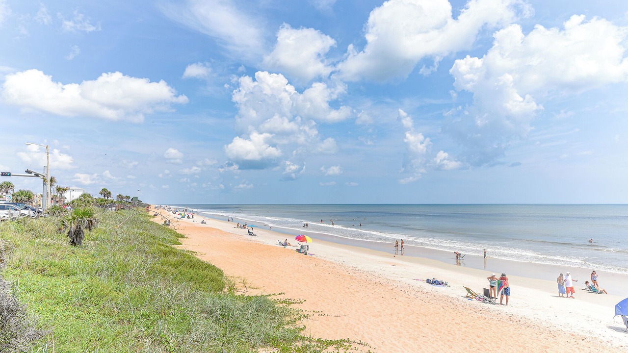 Photo of Others in Marineland Acres