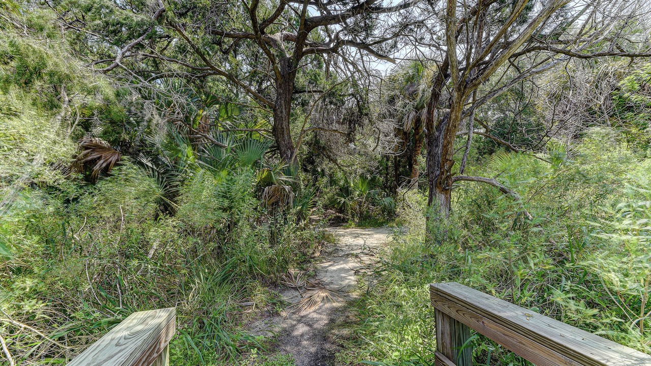Photo of Others in Marineland Acres
