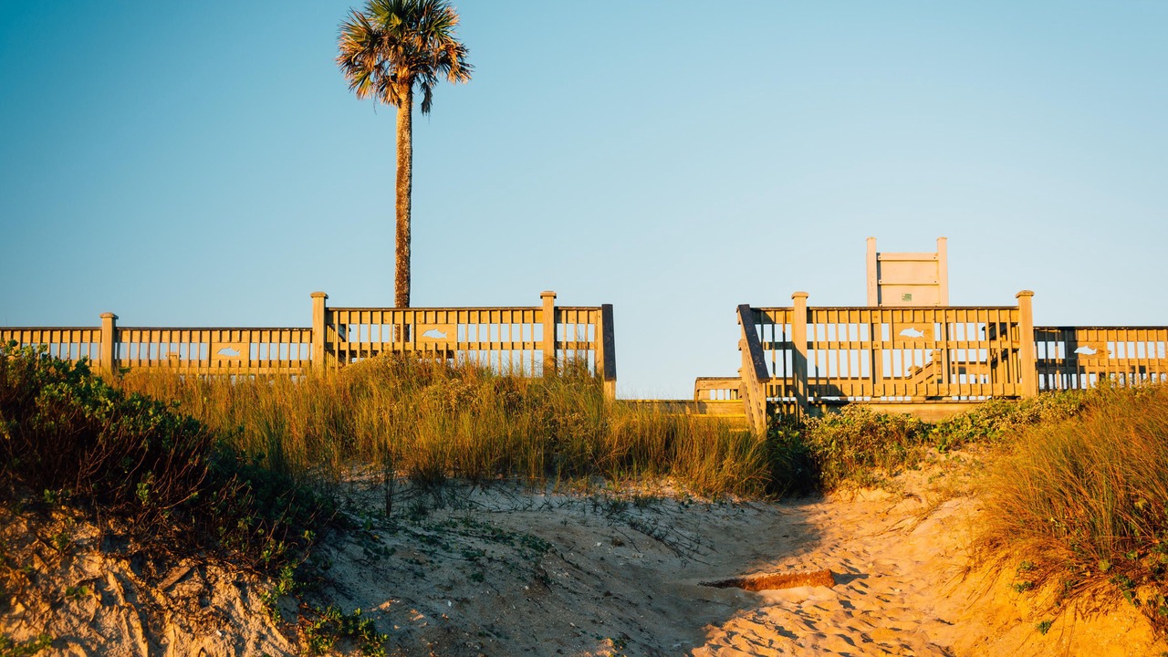 Photo of Others in Marineland Acres