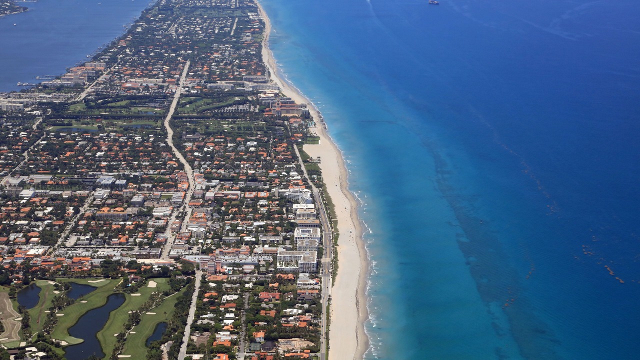 Photo of Others in Marineland Acres