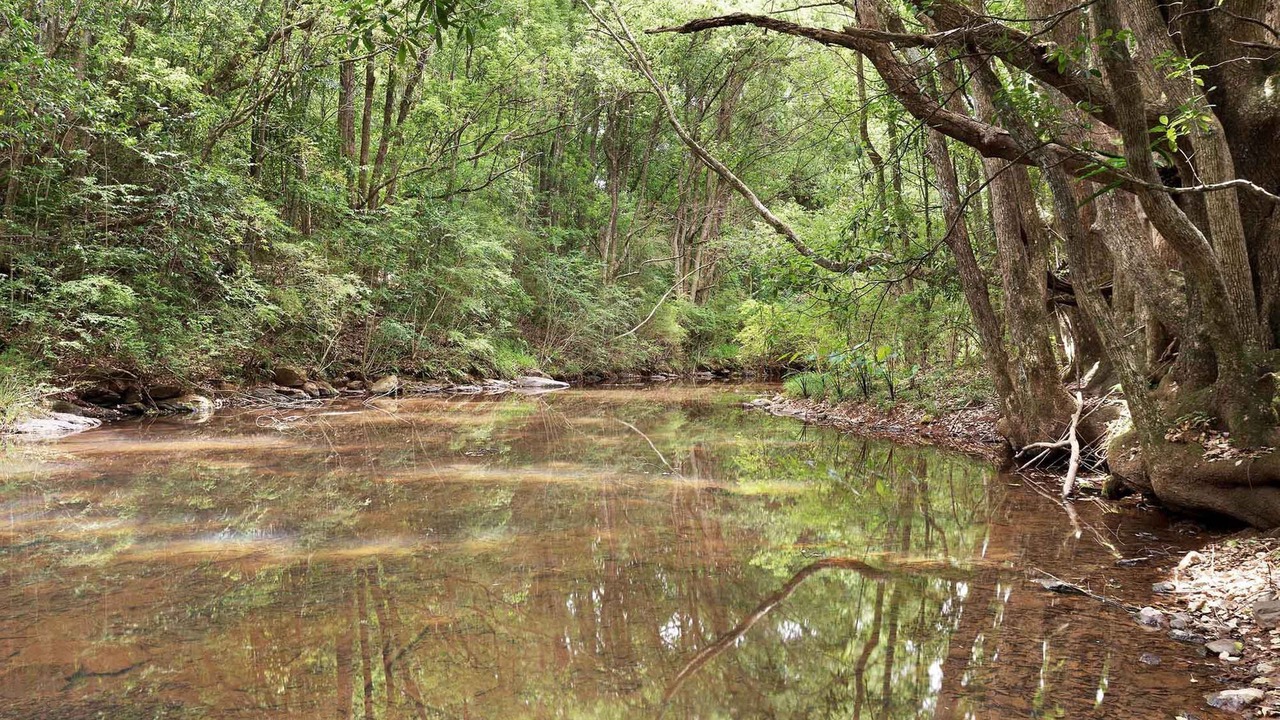 Photo of Others in Nashua