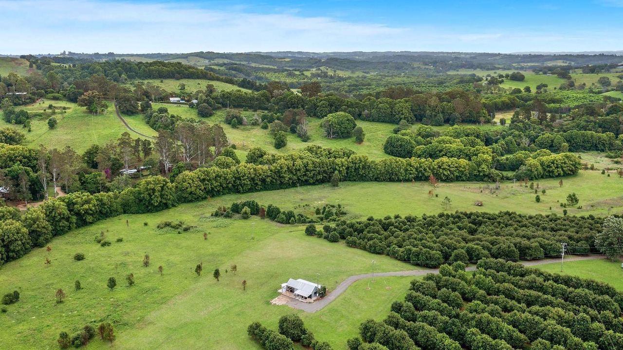 Photo of Others in Nashua