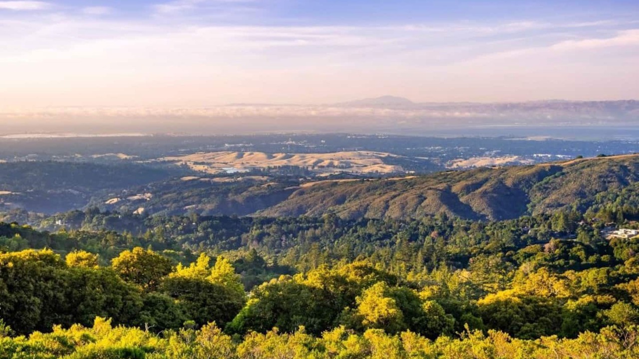 Photo of Others in Mountain View