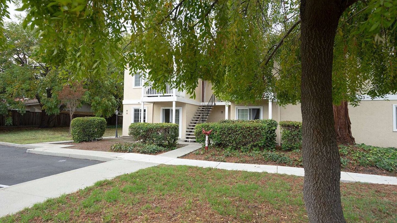 Photo of Outdoor in Mountain View