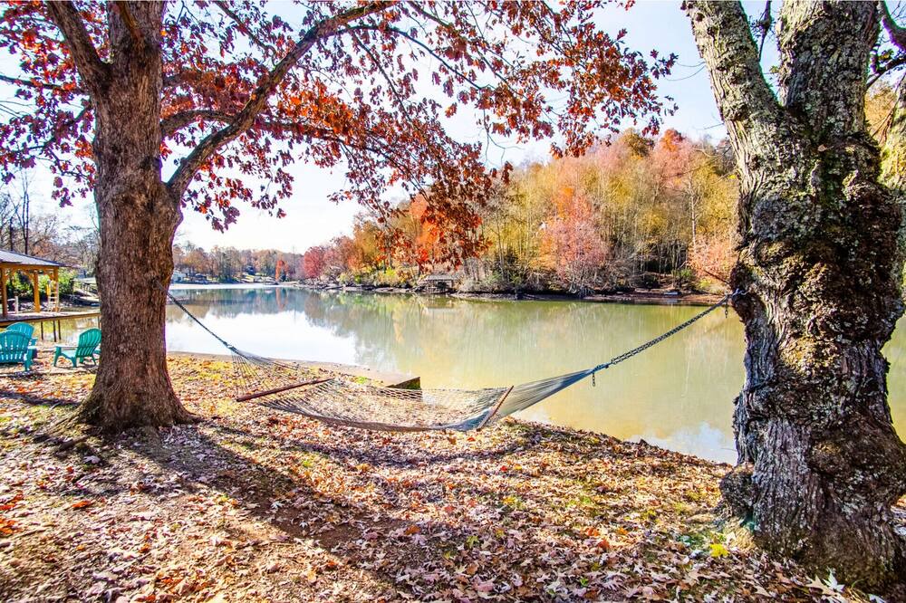 Photo of Others in Louisville