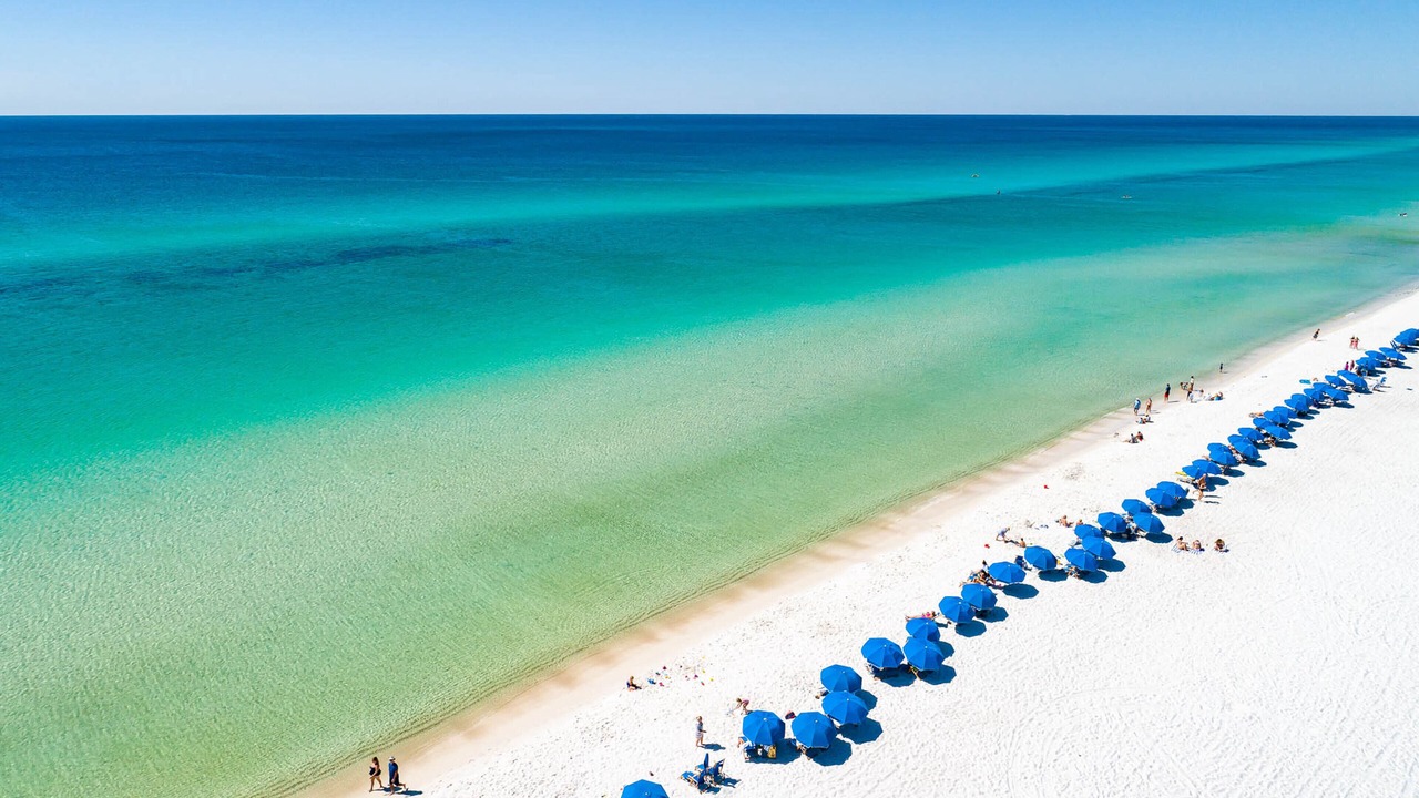 Photo of Others in Panama City Beach