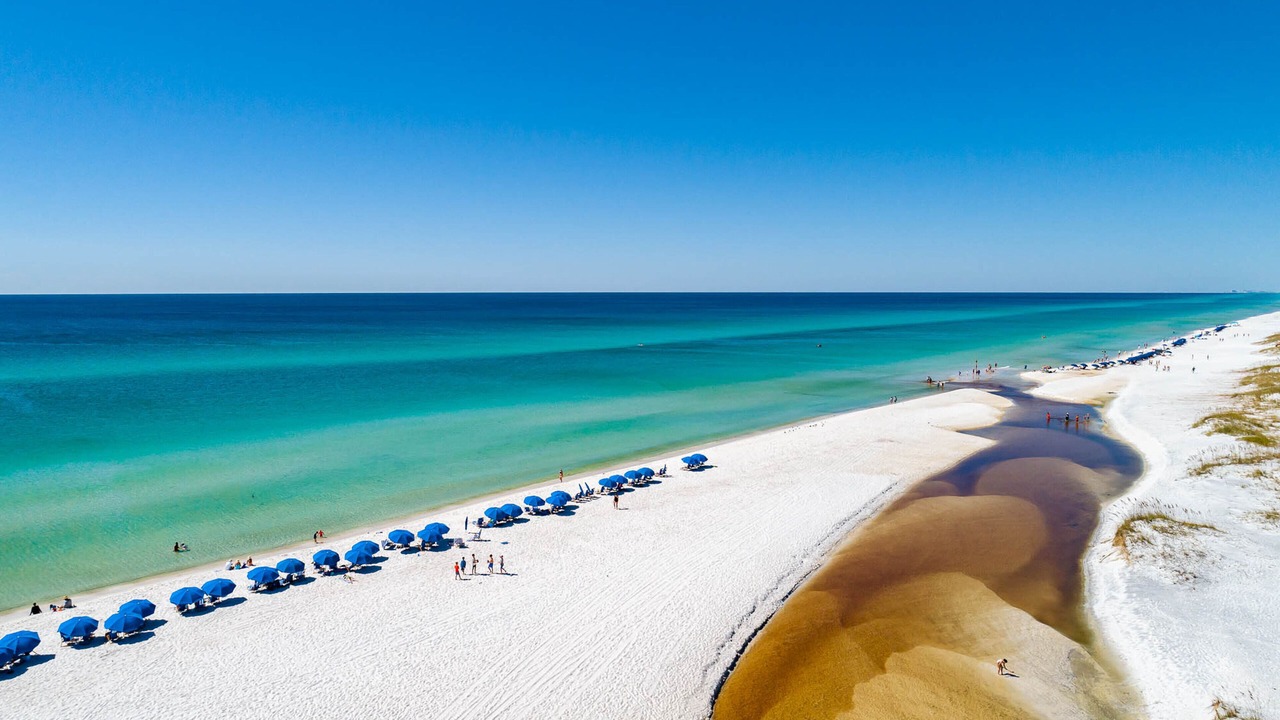 Photo of Others in Panama City Beach