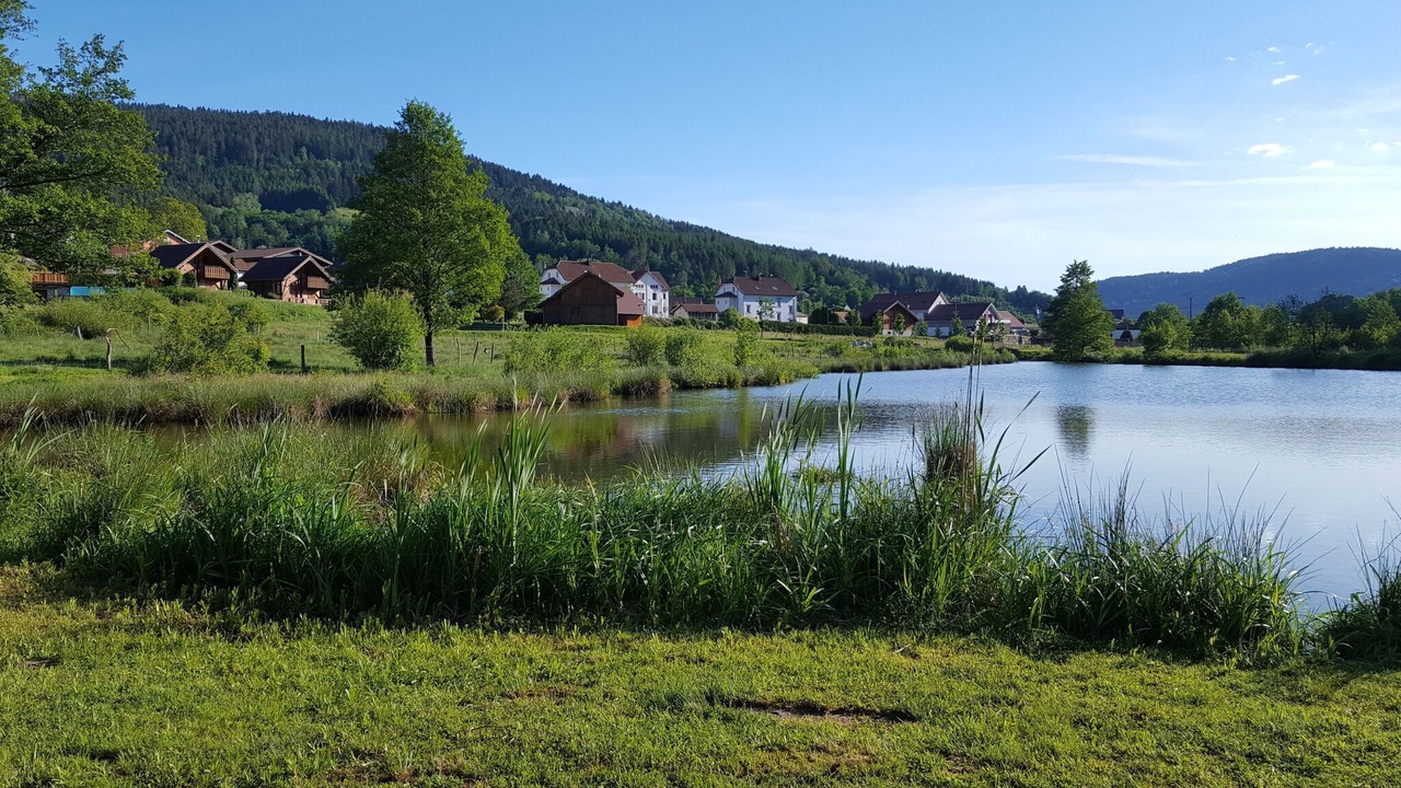 Photo of Others in Le Syndicat