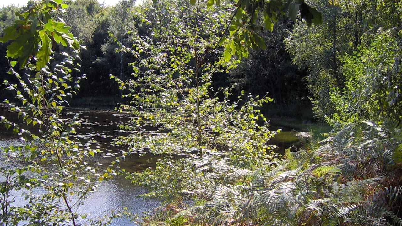 Photo of Outdoor in Le Syndicat