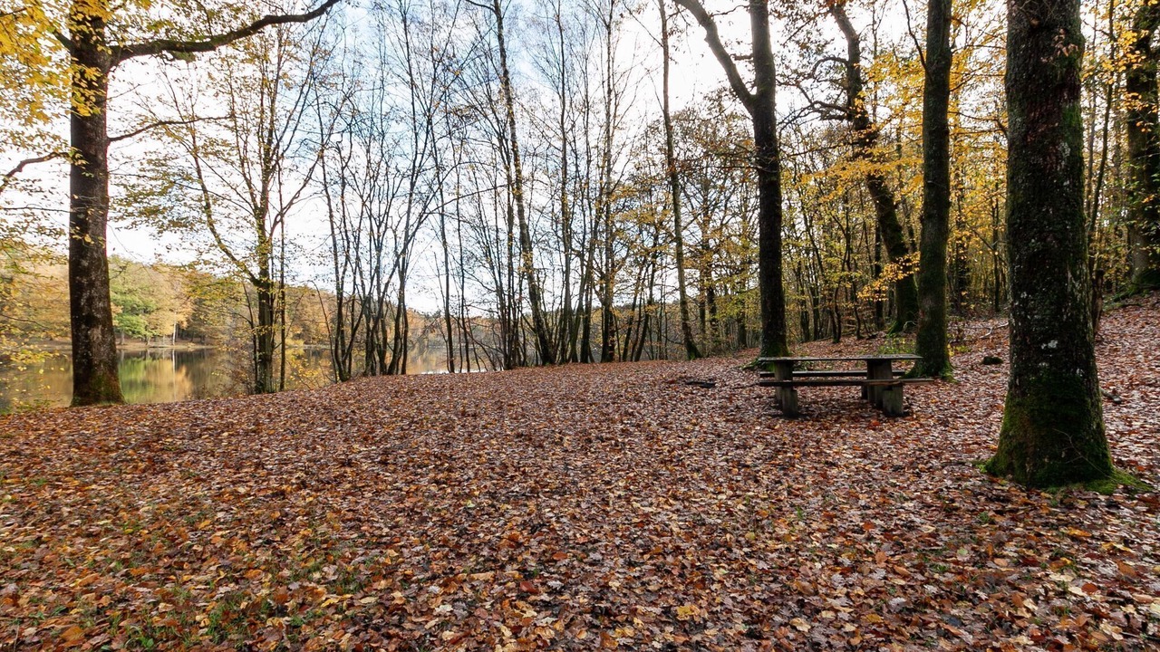Photo of Outdoor in Signy-le-Petit