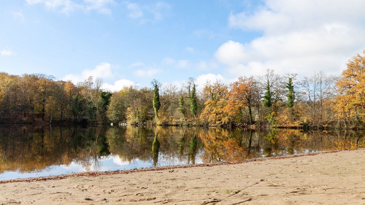 Photo of Others in Signy-le-Petit
