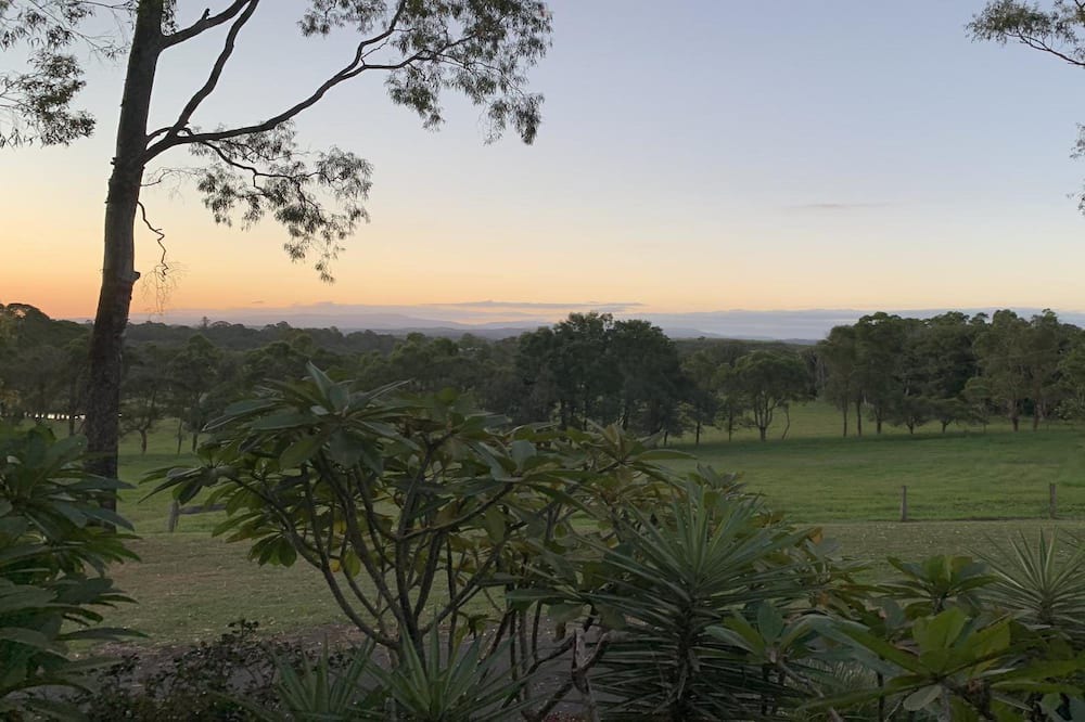 Photo of Outdoor in Brooklet