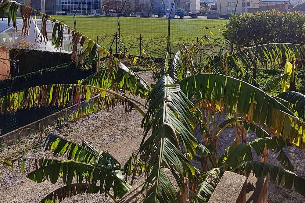 Photo of Outdoor in La Valette-du-Var