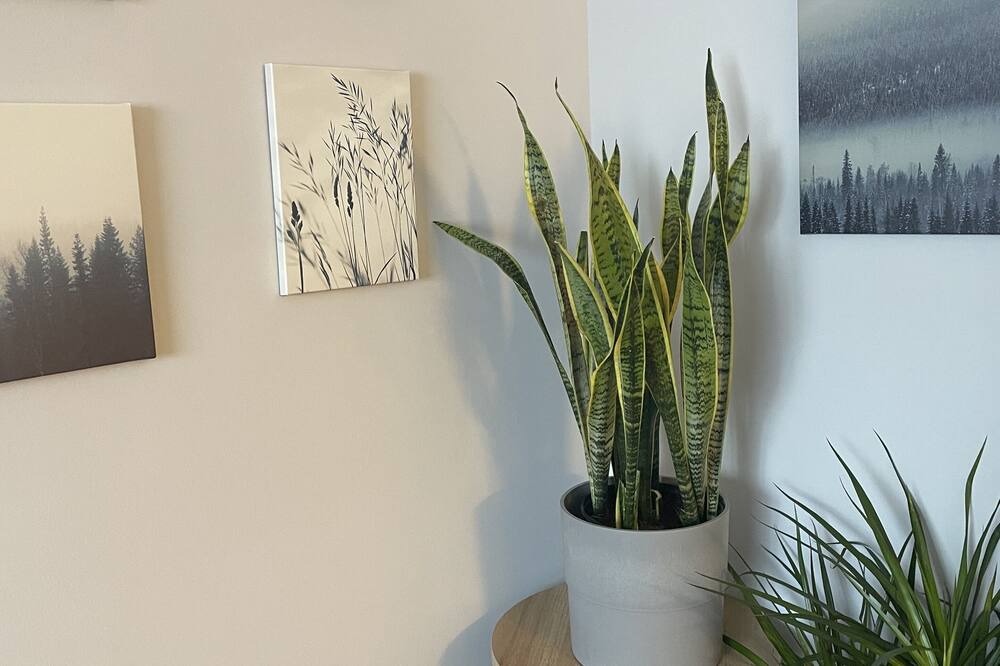 Photo of Livingroom in Forestview