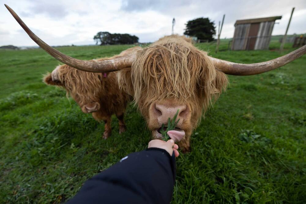 Photo of Others in Dennington