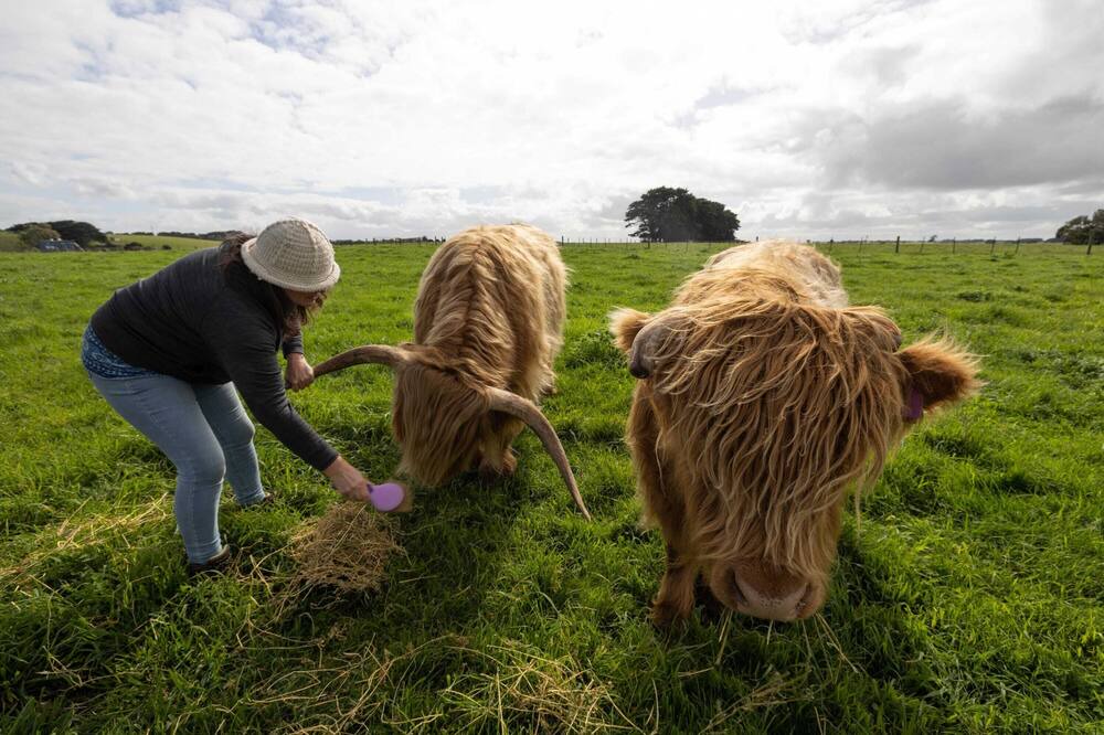 Photo of Others in Dennington