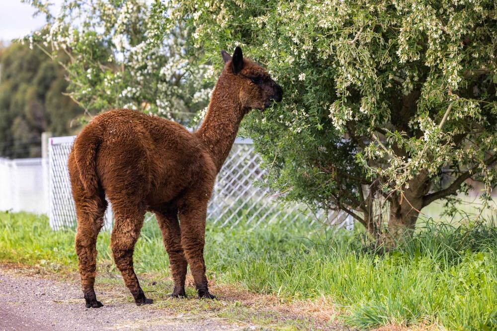 Photo of Others in Dennington