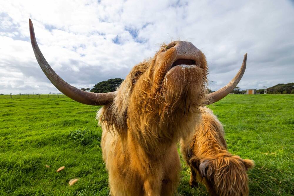 Photo of Others in Dennington