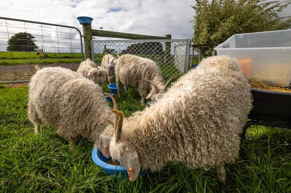 Photo of Others in Dennington