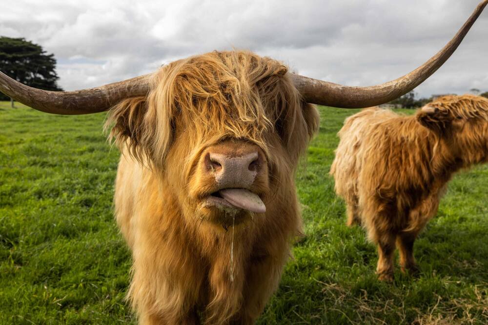 Photo of Others in Dennington