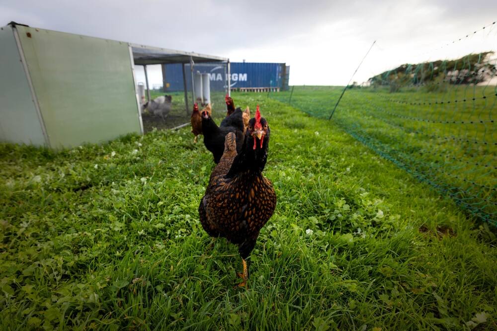 Photo of Others in Dennington