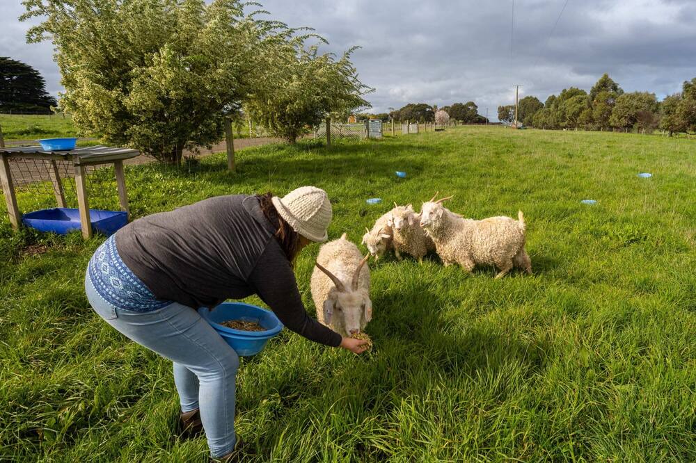 Photo of Others in Dennington