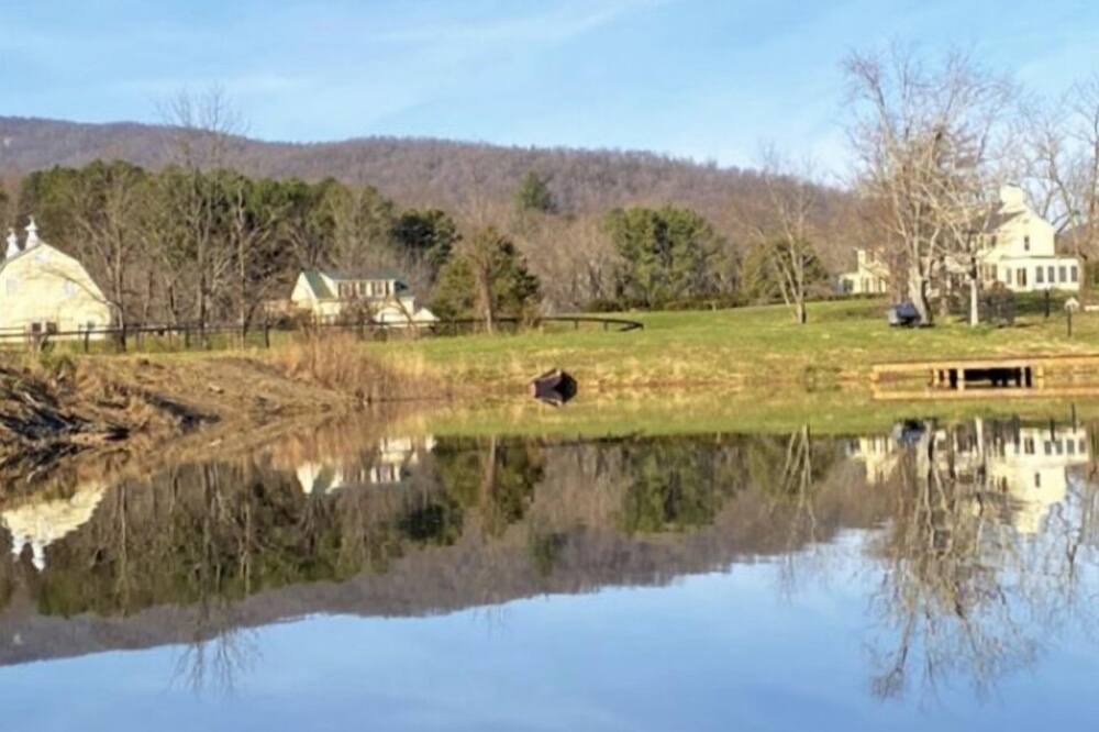 Photo of Others in White Hall