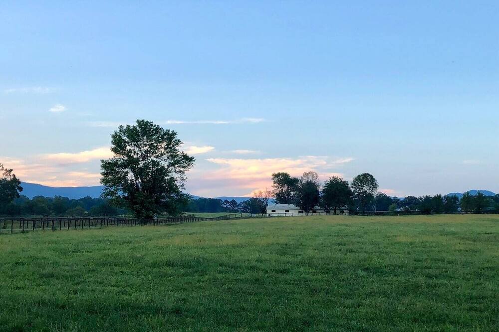 Photo of Outdoor in White Hall