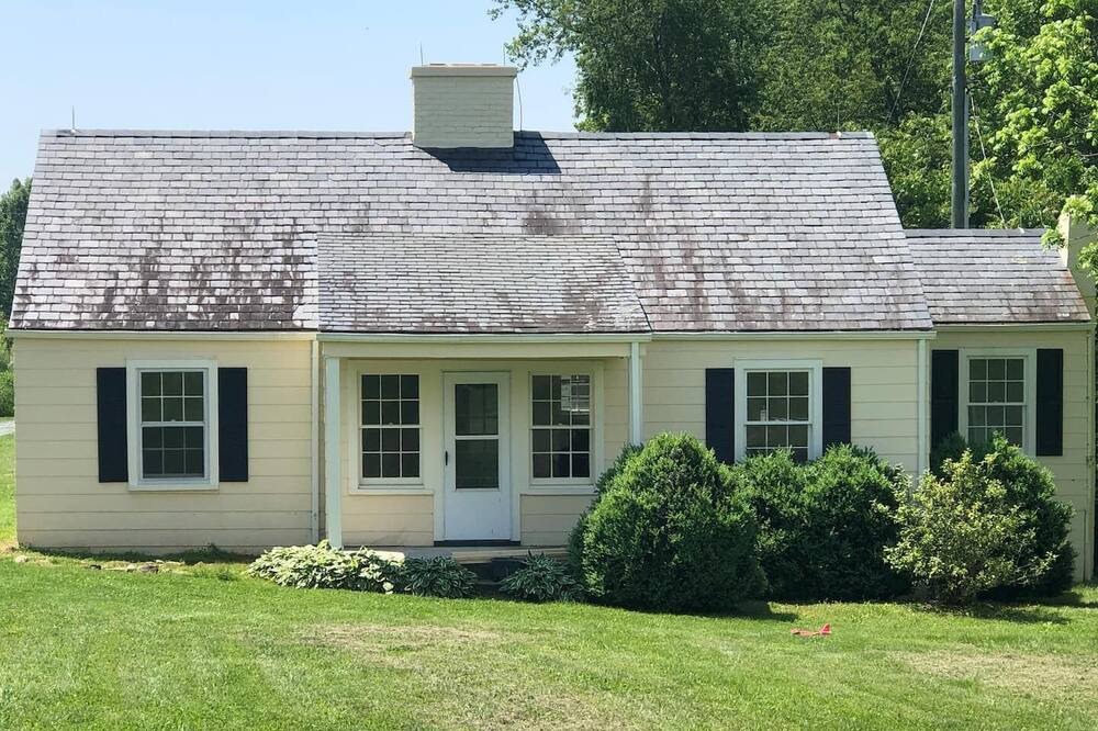 Photo of Outdoor in White Hall