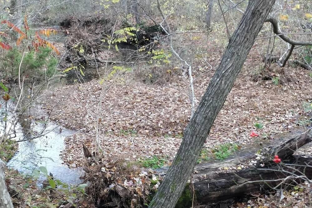 Photo of Outdoor in Moodys