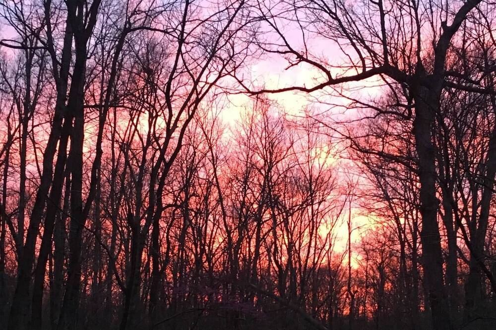 Photo of Outdoor in Moodys