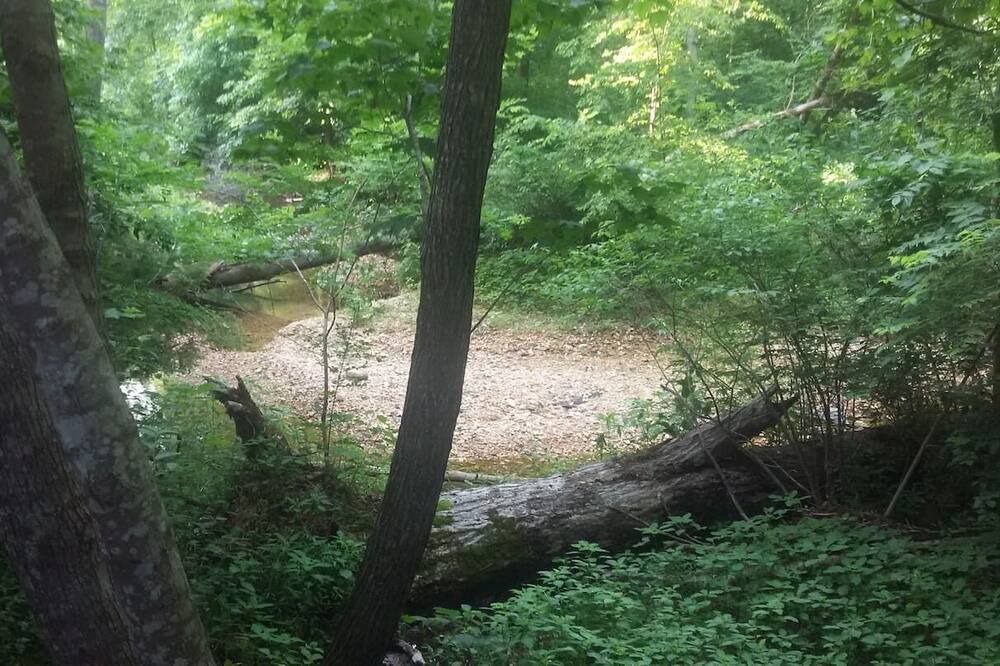 Photo of Outdoor in Moodys