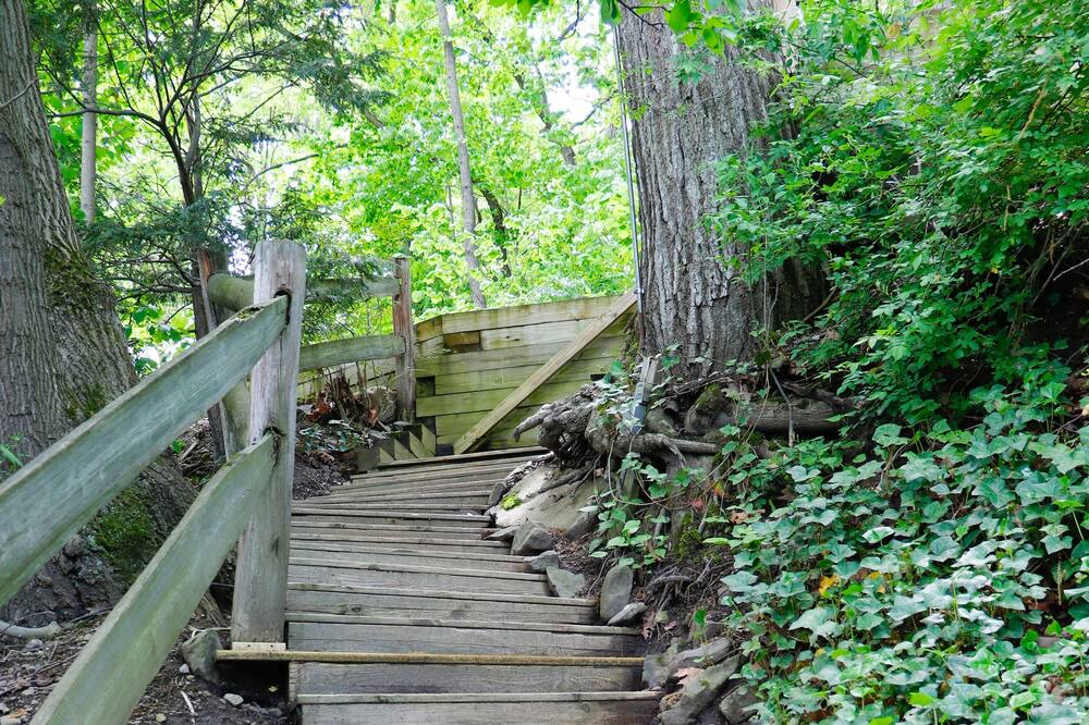 Photo of Outdoor in Northwest Ithaca