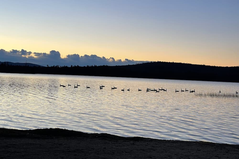 Photo of Others in Kimball Lake Shores
