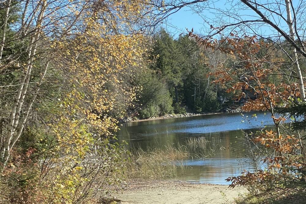 Photo of Others in Lakeville