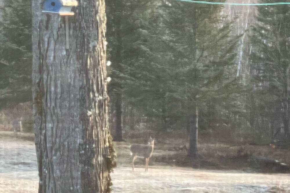 Photo of Others in Lakeville