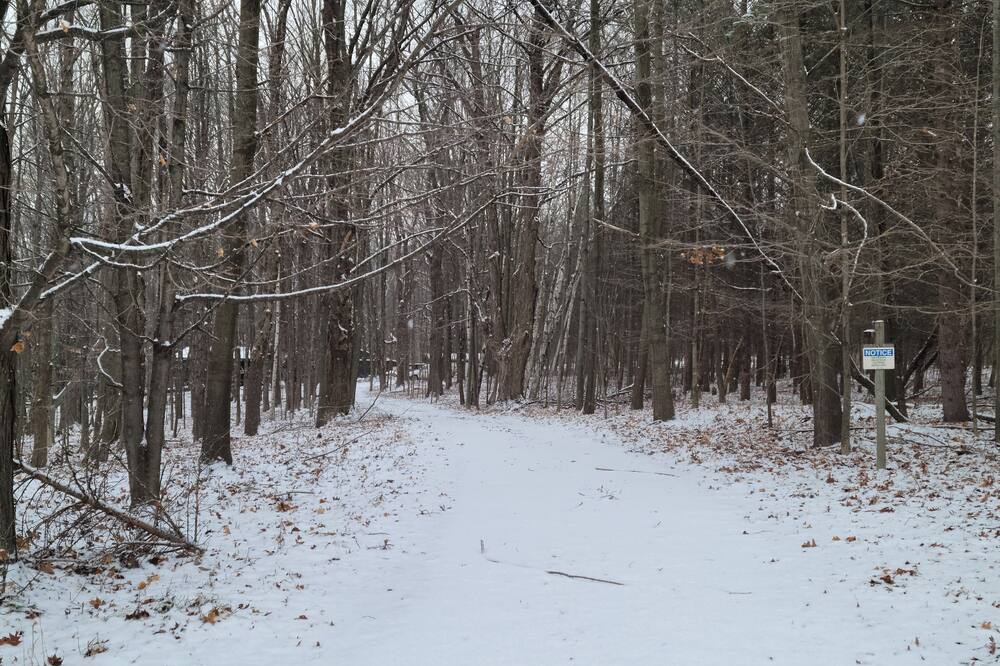 Photo of Others in Farwell