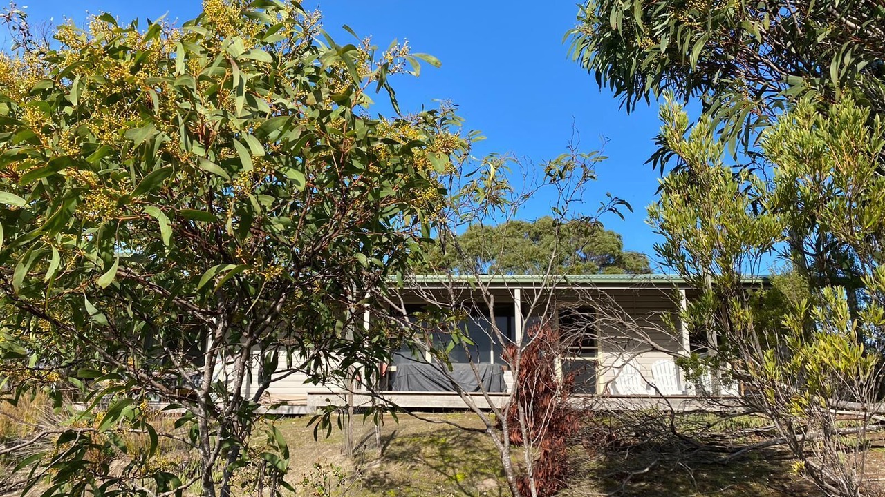 Photo of Outdoor in Island Beach