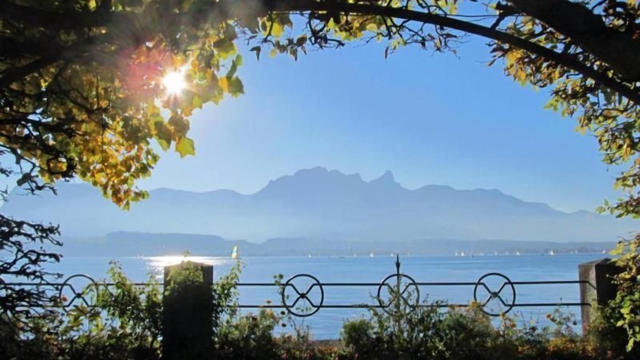 Photo of Others in Wilderswil