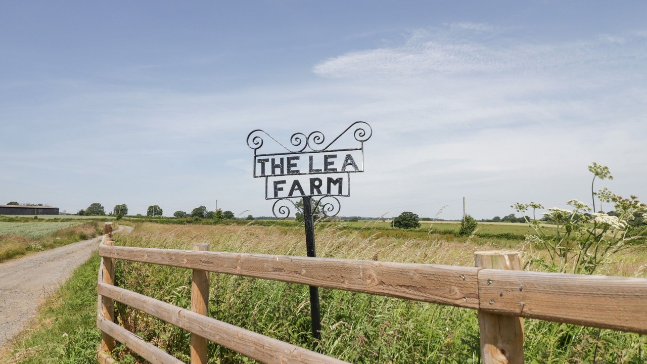 Photo of Others in Clows Top