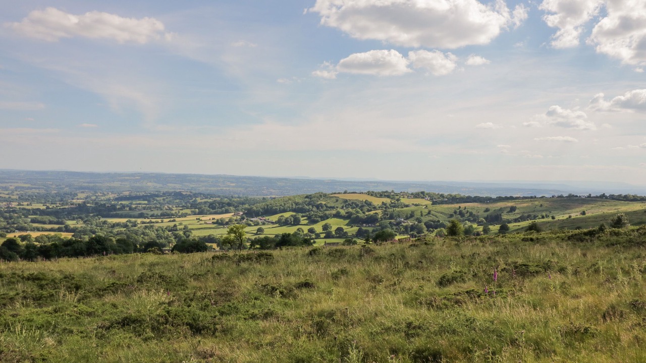 Photo of Others in Clows Top