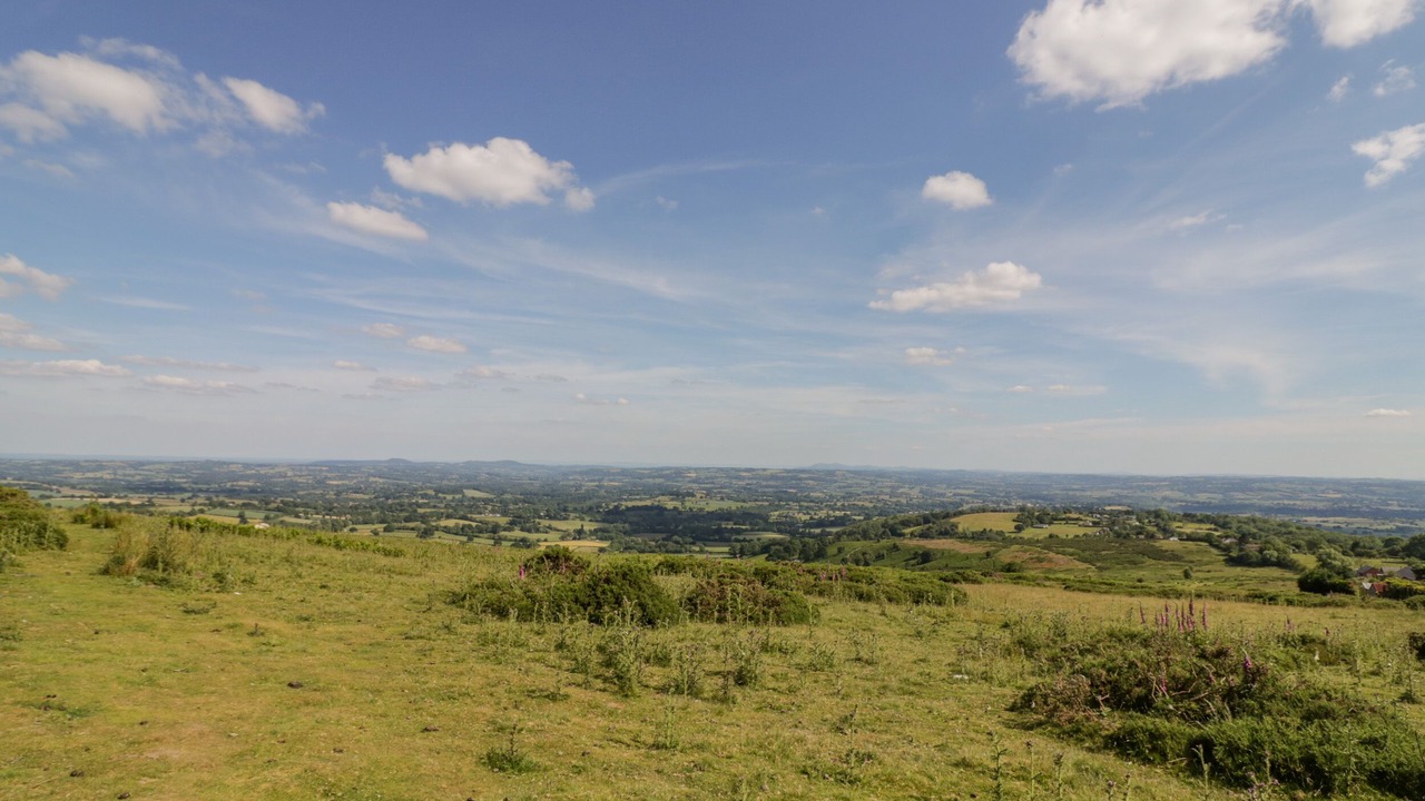 Photo of Others in Clows Top