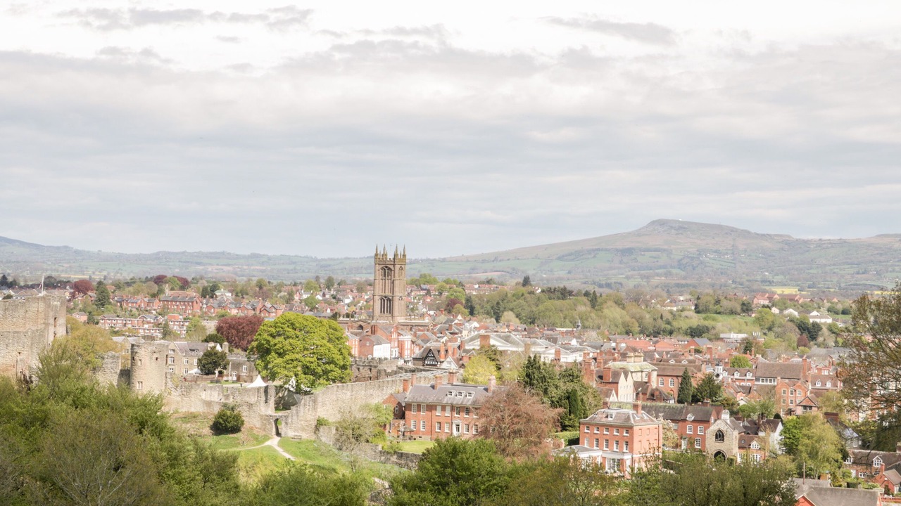 Photo of Others in Clows Top