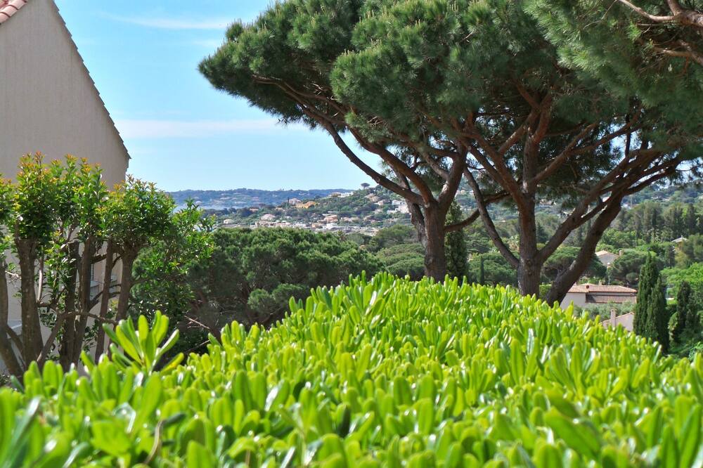 Photo of Outdoor in La Nartelle