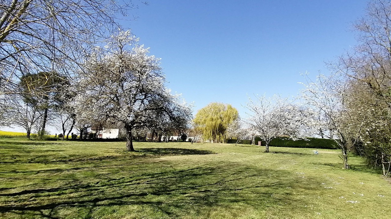 Photo of Outdoor in Le-Petit-Pressigny