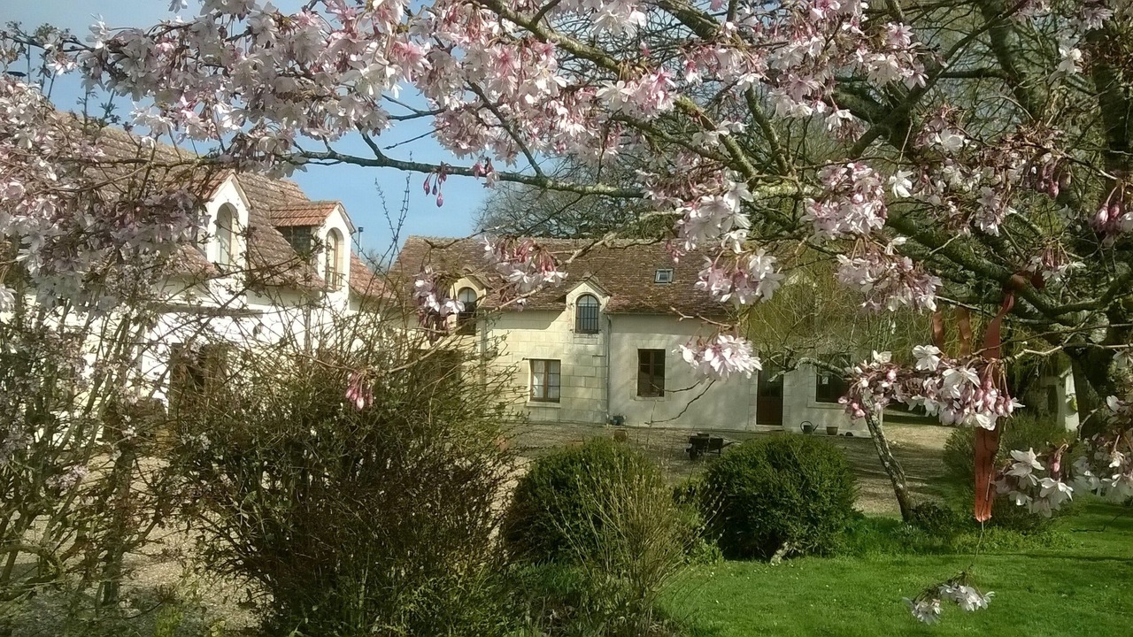 Photo of Outdoor in Le-Petit-Pressigny