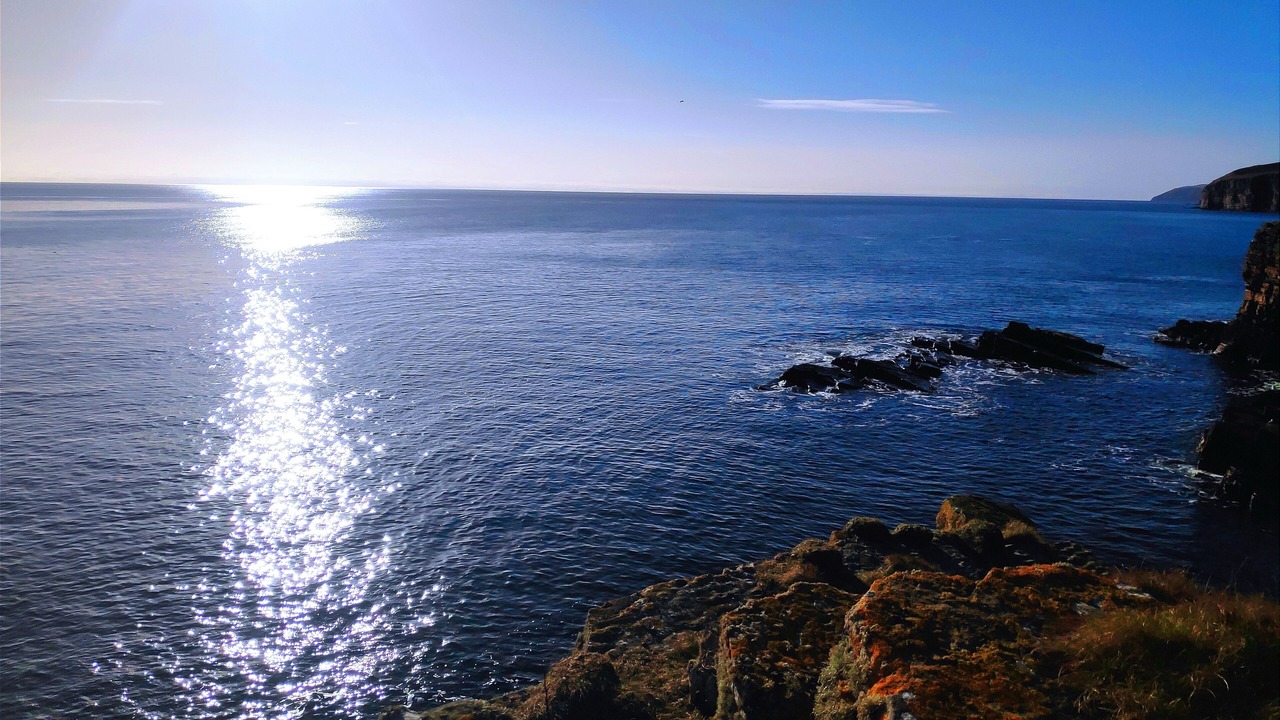 Photo of Others in Dunbeath