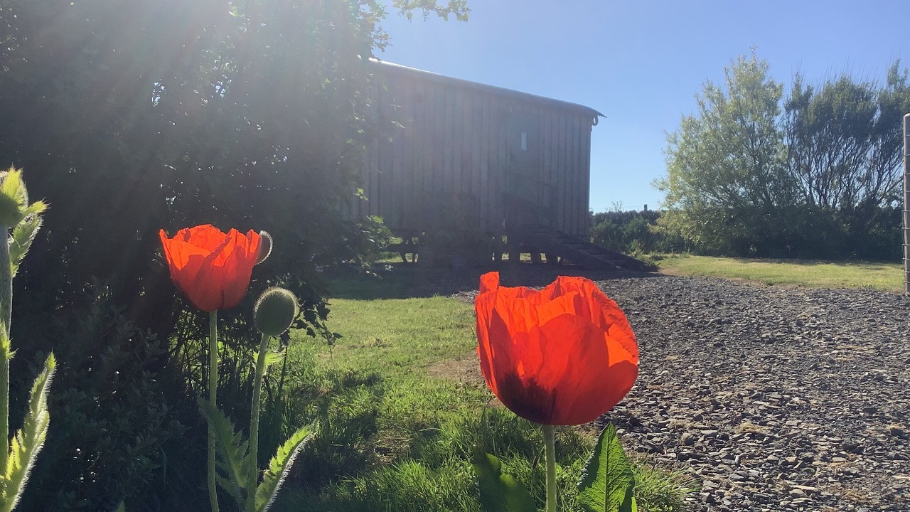 Photo of Others in Dunbeath