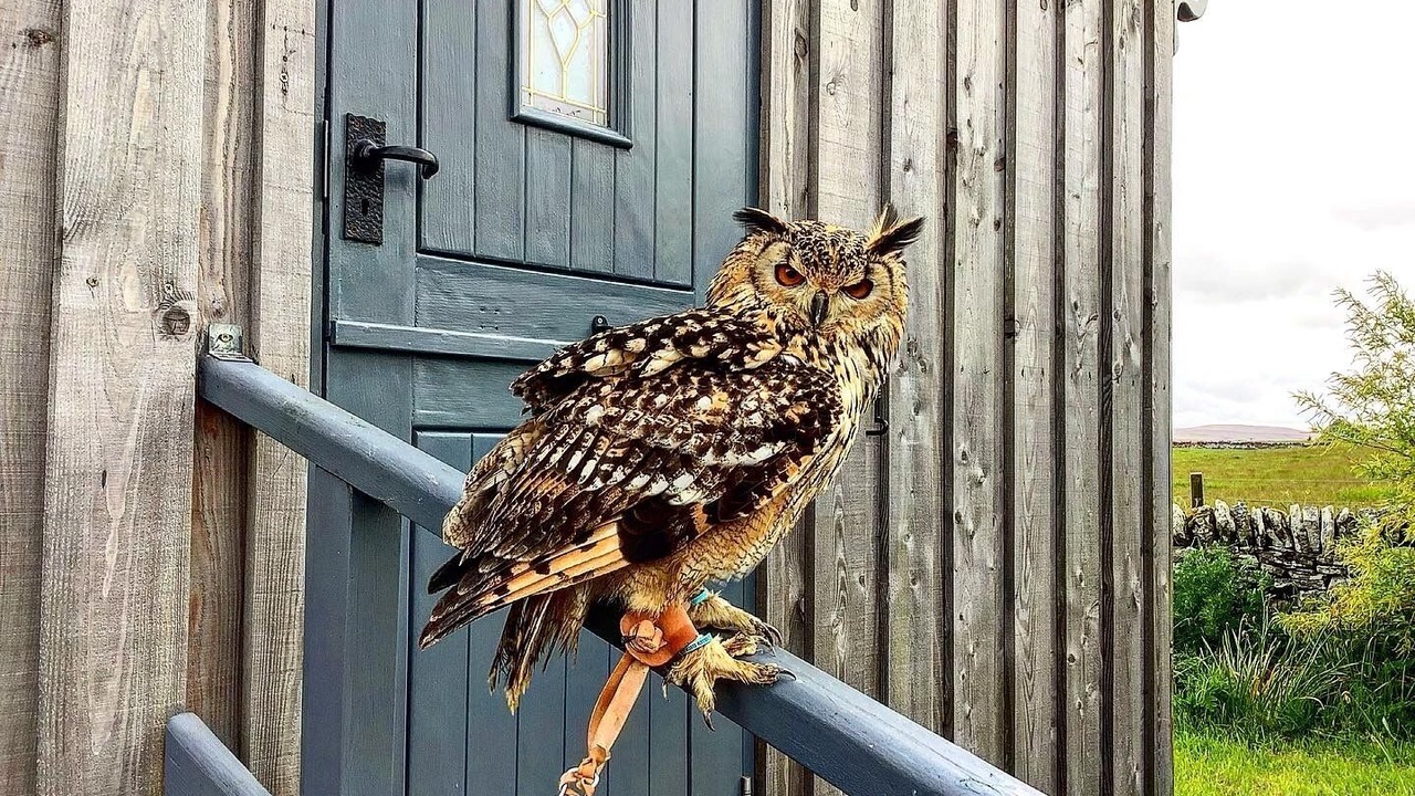 Photo of Others in Dunbeath